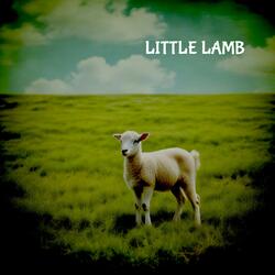 Little Lamb