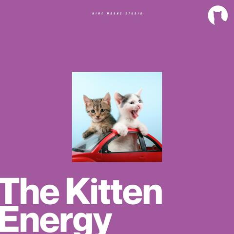 The Kitten Energy