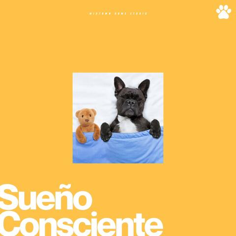 Sueño Consciente