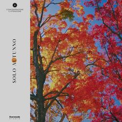 Footprints of Freshness