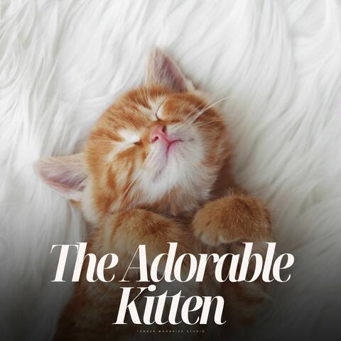 The Adorable Kitten