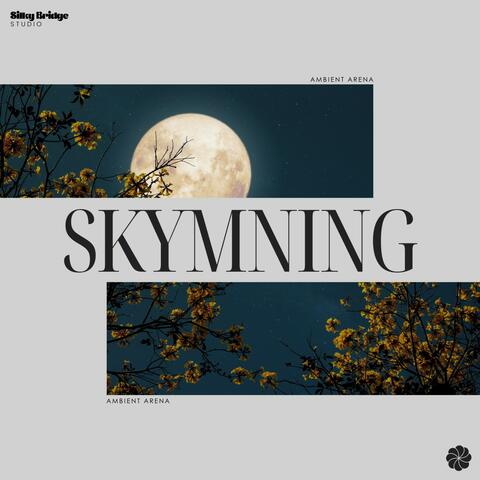 Skymning