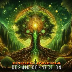 Cosmic Connection