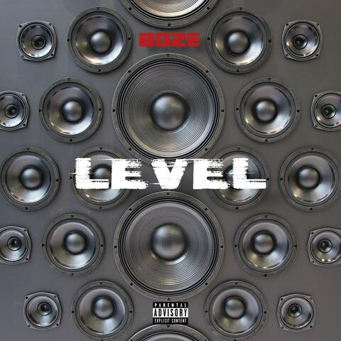 Level