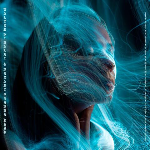 Techno Classical Remix / Mozart: Turkish March Techno