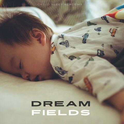 Dream Fields: Gentle Sleep Music