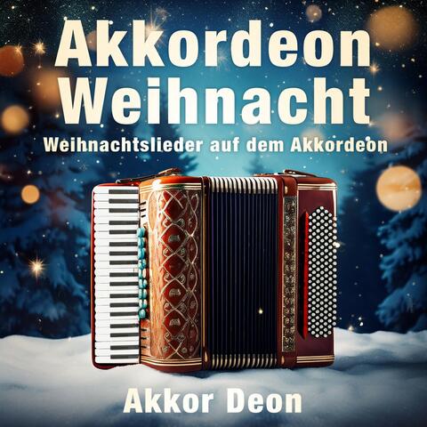 Akkordeon Weihnacht - Weihnachtslieder auf dem Akkordeon