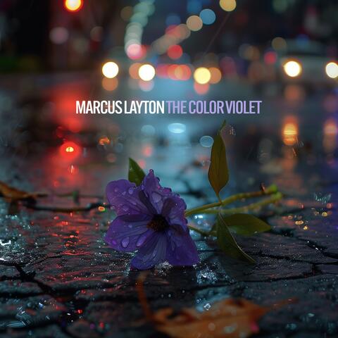 The Color Violet