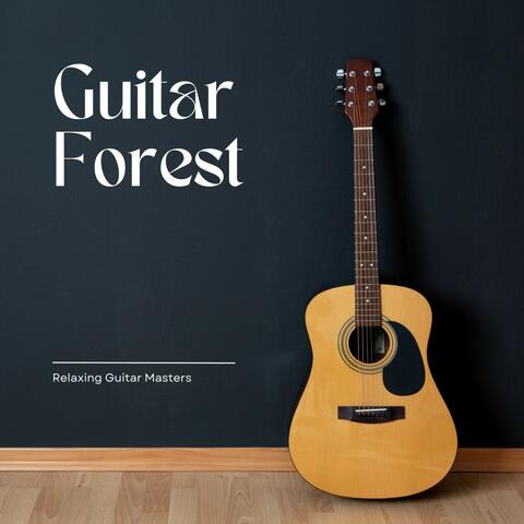 Guitar Forest: Guitar Sleep Music