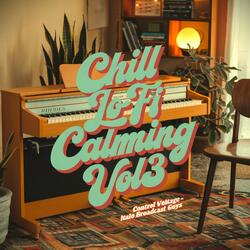 Chill Lo-Fi Calming 32