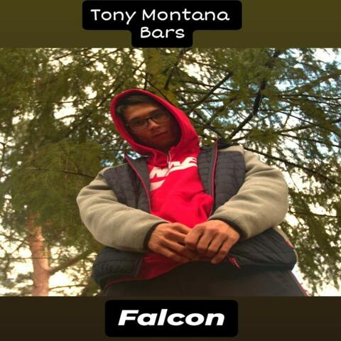 Tony Montana-Bars