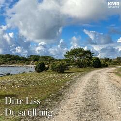 Du sa till mig