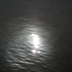 God's Watching Too