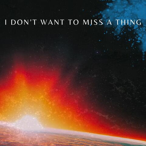 I Don't Want to Miss a Thing
