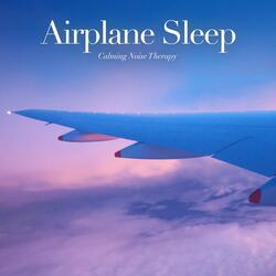 Airplane Sleep