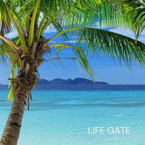 Life Gate: Lounge House Playlist