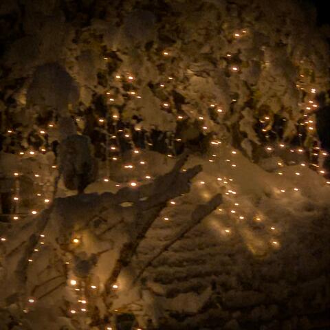 Schnee