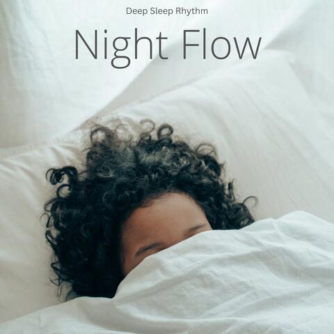 Night Flow: Deep Sleep Music