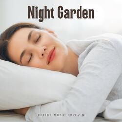 Sleep Aid