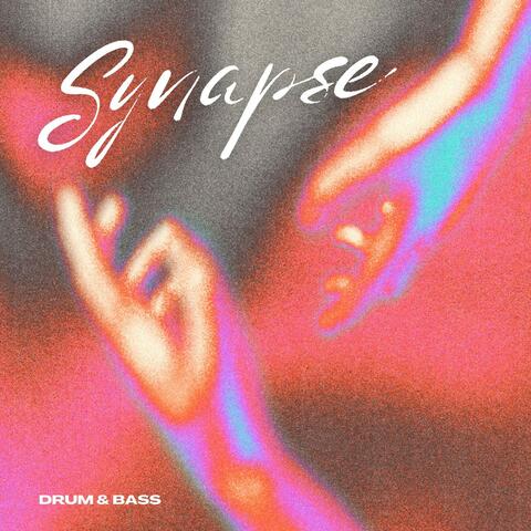 Synapse: Dnb Tracks