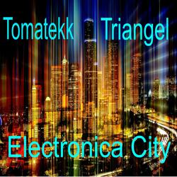 Electronica City