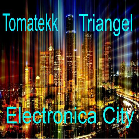Electronica City