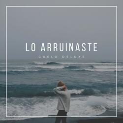 Lo Arruinaste