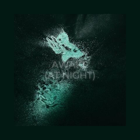 Awake (At Night)