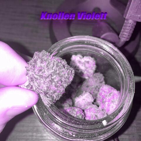 Knollen Violett