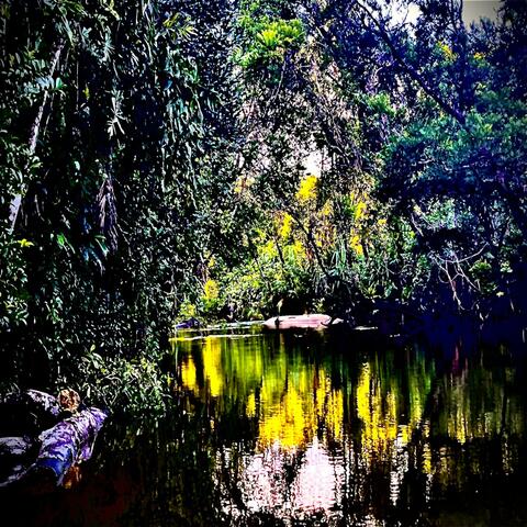 El Dorado (Deeper South)