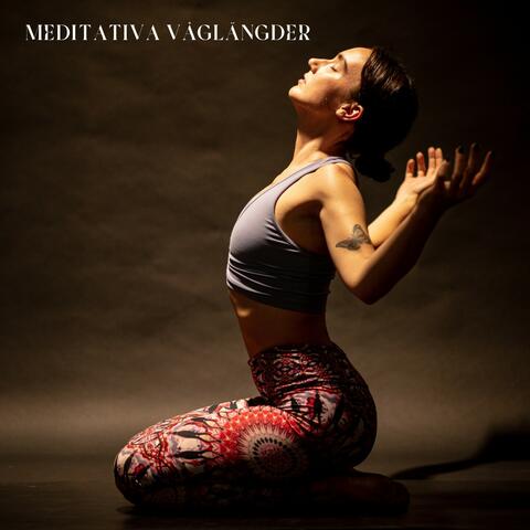 Meditativa Våglängder