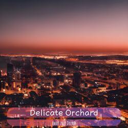 Stars in the Quiet Sky