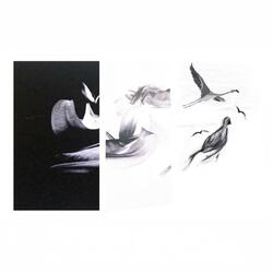 Visions I Lost P.2
