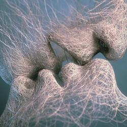 The Soul Mate