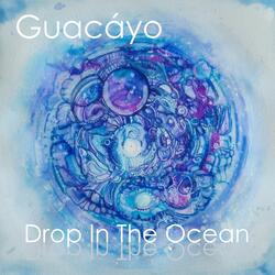 Drop in the Ocean