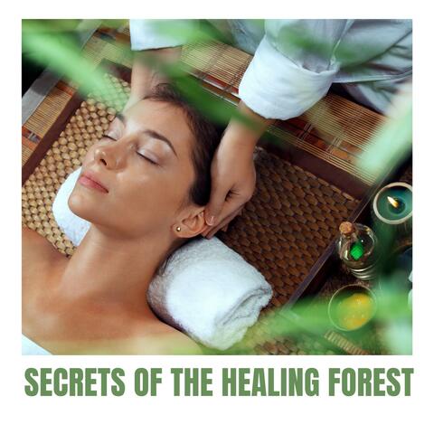 Secrets of the Healing Forest