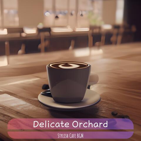 Stylish Cafe Bgm