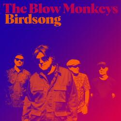 Birdsong