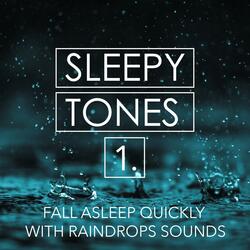 Fall Asleep Quickly with Raindrops Sounds, Pt. 15