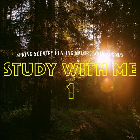 Study with Me: Spring Scenery Healing Nature Walk Sounds