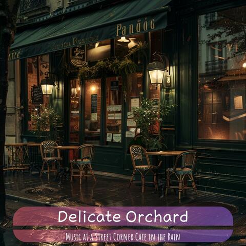 Music at a Street Corner Cafe in the Rain