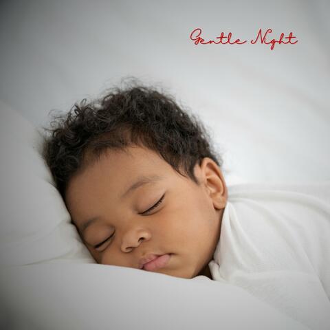 Gentle Night