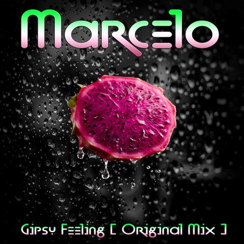 Gipsy Feeling