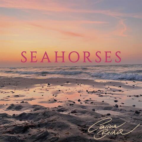 Seahorses