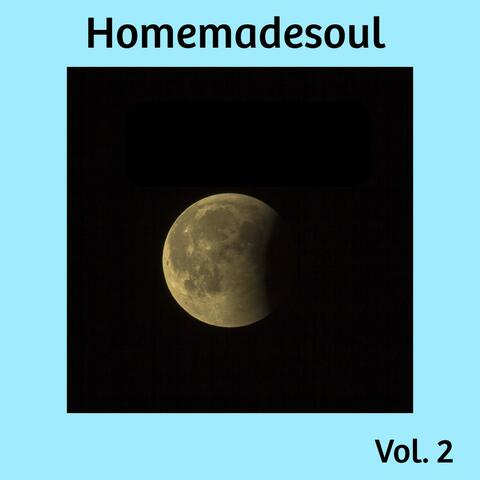 Homemadesoul, Vol. 2