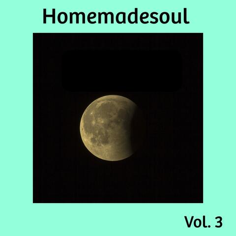 Homemadesoul, Vol. 3
