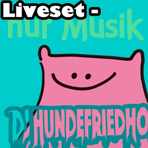 Liveset - nur Musik
