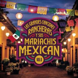 Porque Mi Amor por Ti Es Inmenso