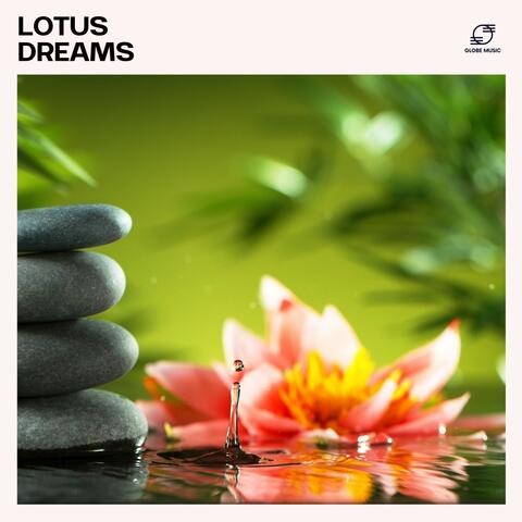 Lotus Dreams