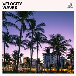 Midnight Velocity